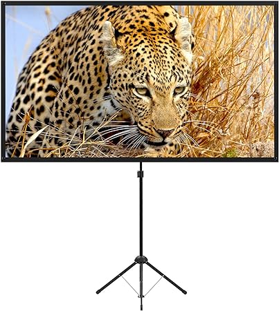 Duet Projector 80 Inch Screen