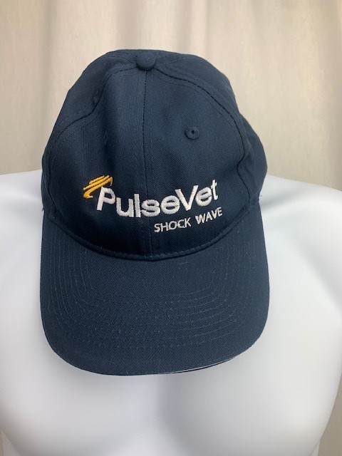 Caps- Navy Embroidered Cap