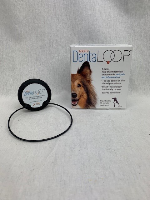 Assisi Dental Loop