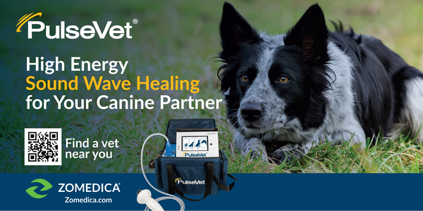 Working Dog Arena Vinyl Banner