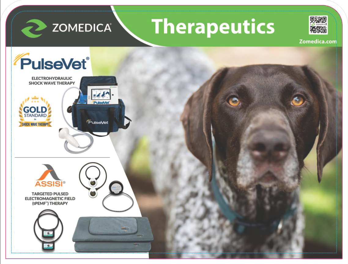 Therapeutics NEW B 10x10 LED Graphics