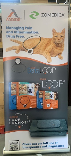 Assisi Loop Feline Pop Up Banner