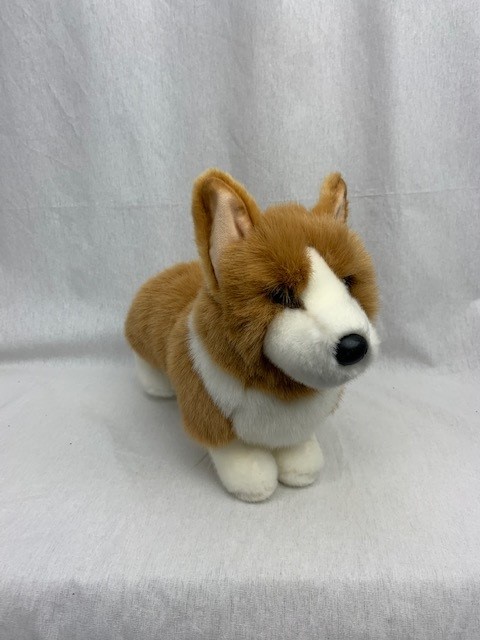 Corgi