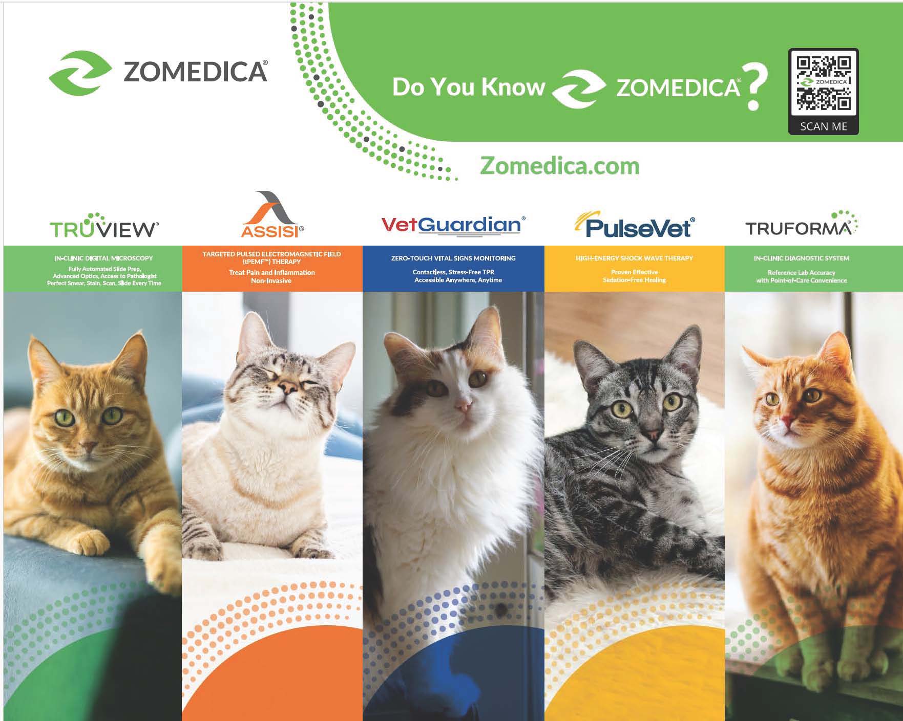 FELINE- DO YOU KNOW?