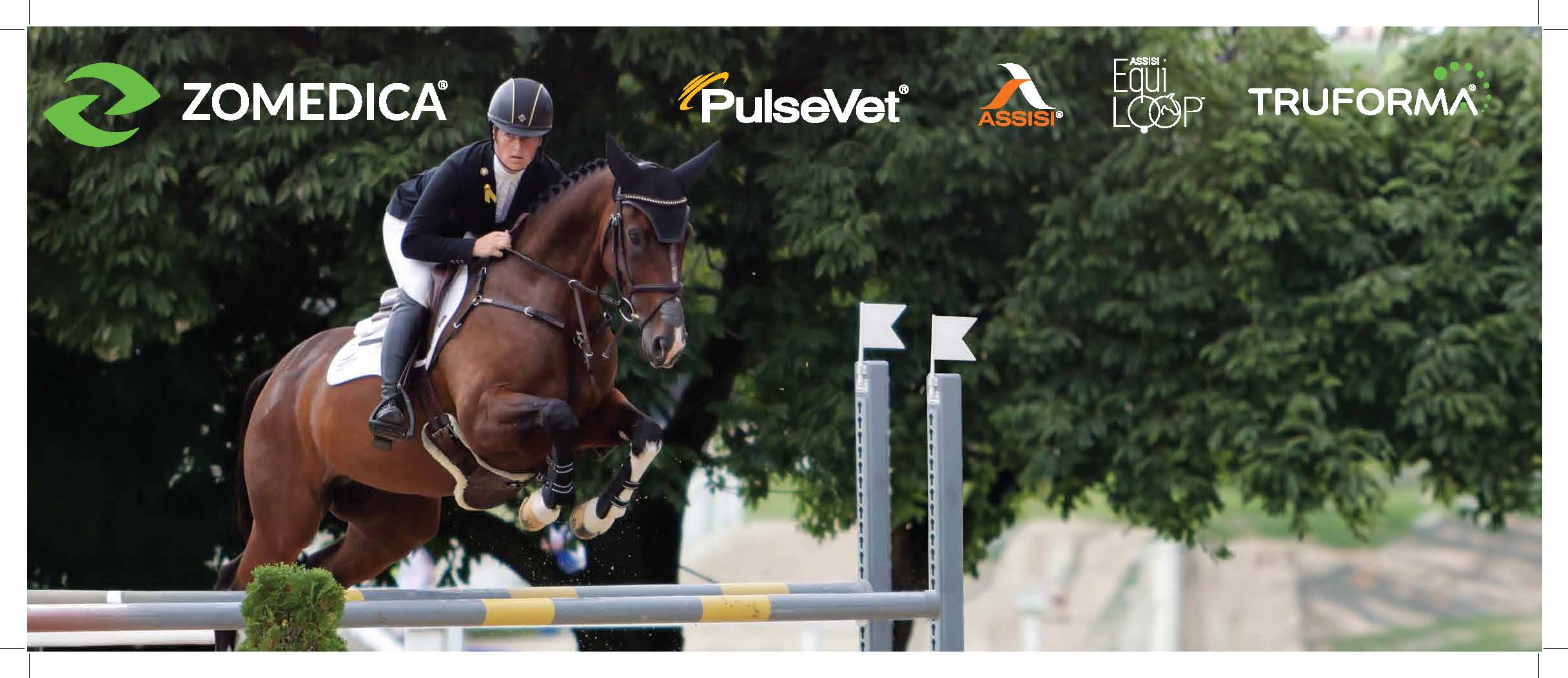 Kentucky Equine 1 Banner