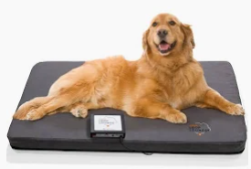 LARGE LOOP LOUNGE